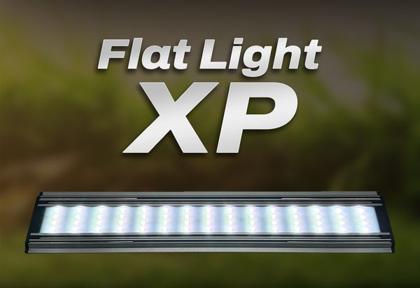 Neo helios xp 900 48 watt ( for 3 feet tank)