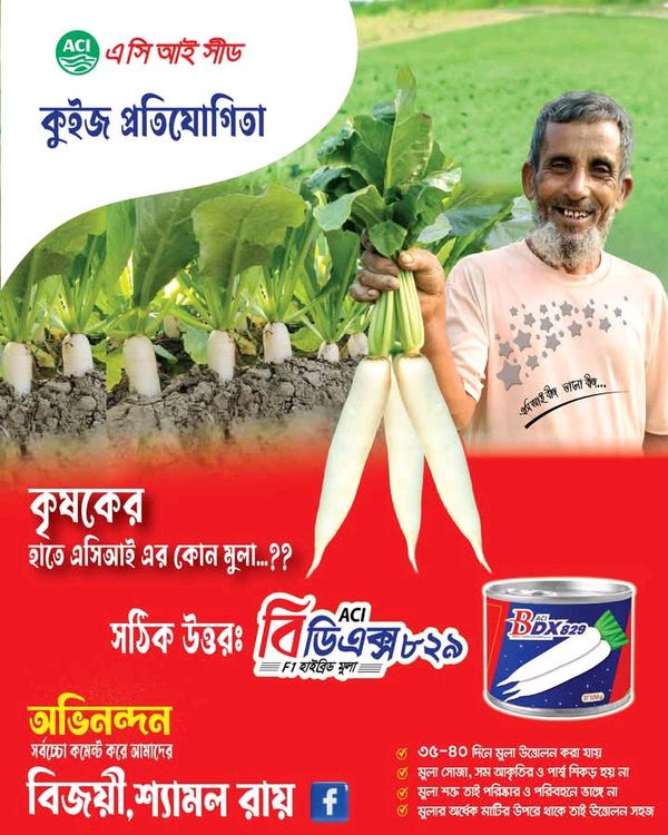 F1 হাইব্রিড মূলা বিডিএক্স ৮২৯ । F1 Hybrid Radish BDX 829 ( ACI SEED )