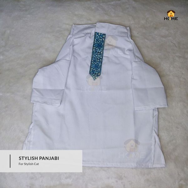 4 kg panjabi