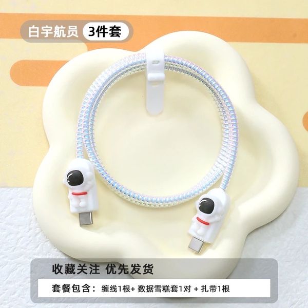 Type C To Type C cable protector