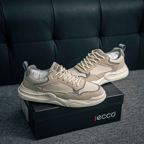 ECCO BIOM collection (1:1)