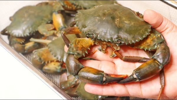 কাঁকড়া (Crab)