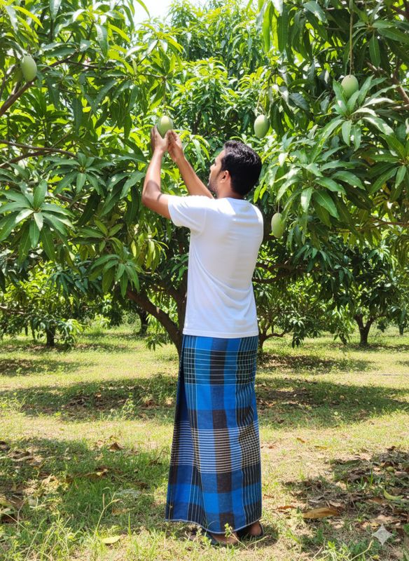 Authentic Sirajganj Lungi - Striped & Checkered Pattern