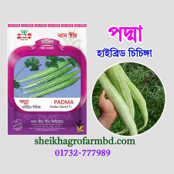 পদ্মা (হাইব্রিড চিচিঙ্গা)- মিনি প্যাকেট
