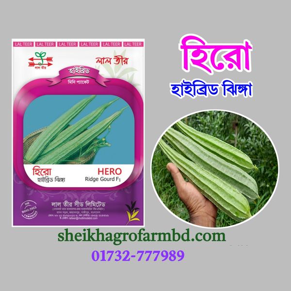 হিরো (হাইব্রিড ঝিঙ্গা)- মিনি প্যাকেট