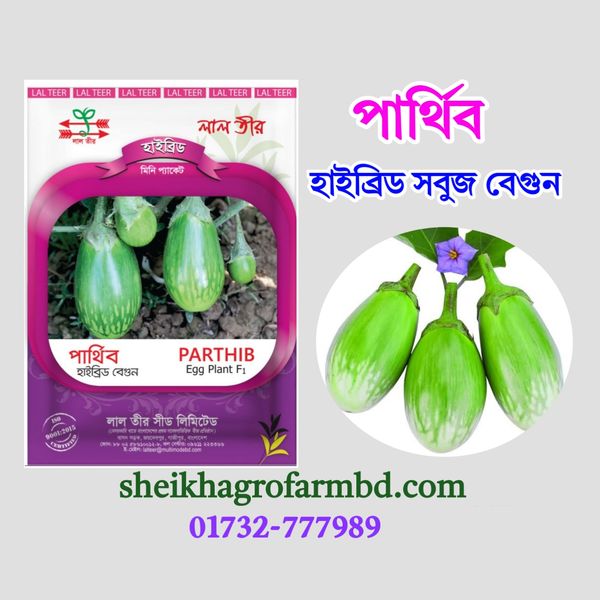 পার্থিব (হাইব্রিড বারোমাসি বেগুন)- মিনি প্যাকেট