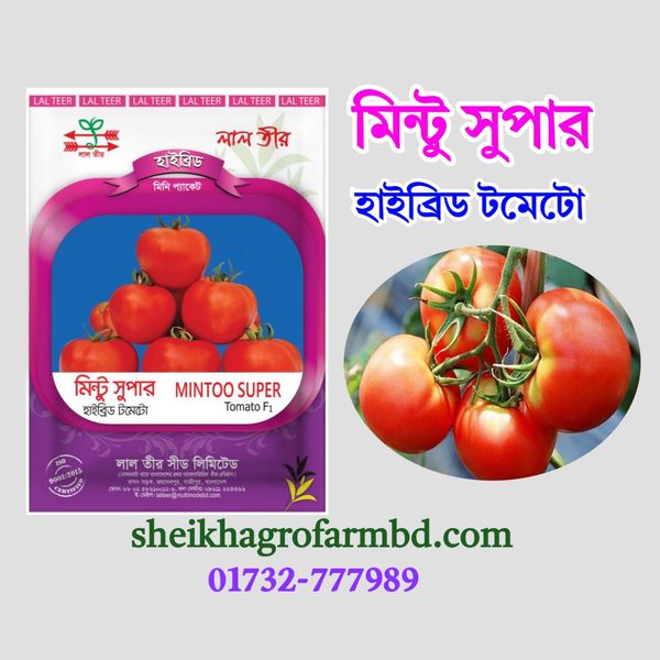 মিন্টু সুপার (হাইব্রিড টমেটো)- মিনি প্যাকেট