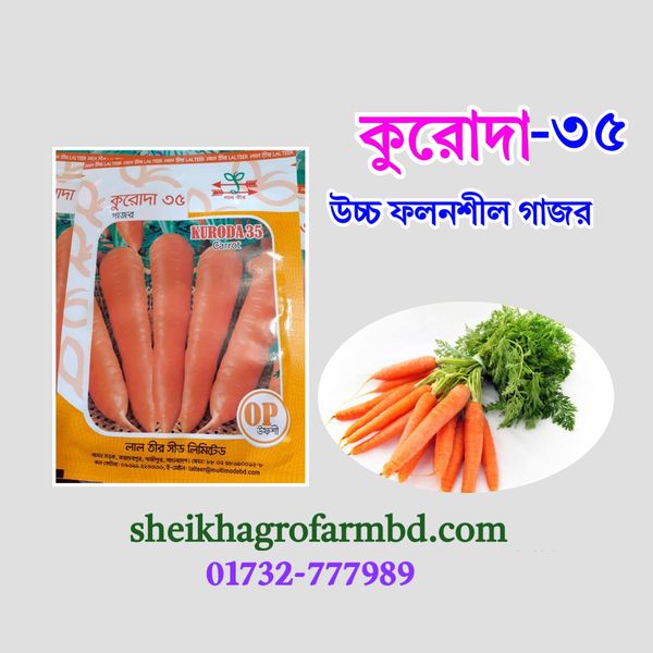 কুরোদা (শীতকালীন উচ্চফলনশীল গাজর)- মিনি প্যাকেট