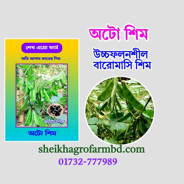 অটো শিম (আগাম বারোমাসি শিম)- ১ কেজি