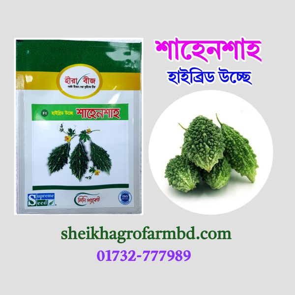 শাহেনশাহ ( হাইব্রিড উচ্ছে করলা)- মিনি প্যাকেট
