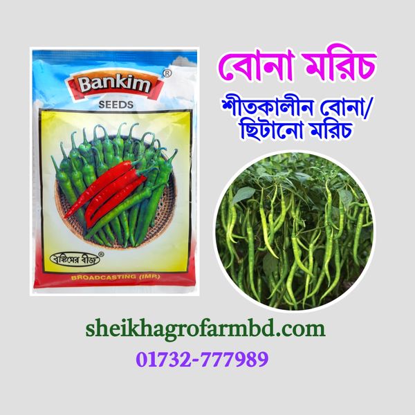 বোনা মরিচ (ছিটানো মরিচ-IR8)