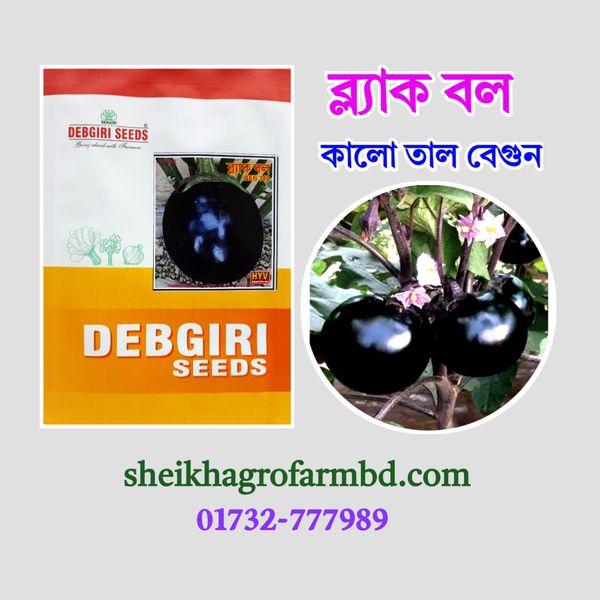 ব্ল্যাক বল (কালো তাল বেগুন)