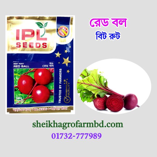 বিট রুট