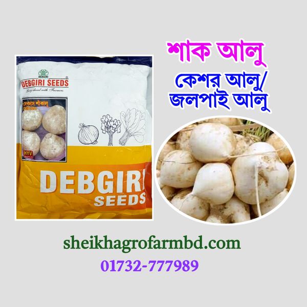 জলপাই আলু / শাক আলু