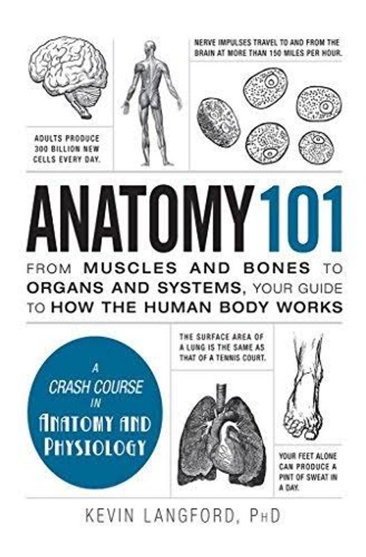 Anatomy 101 by Kevin Langford