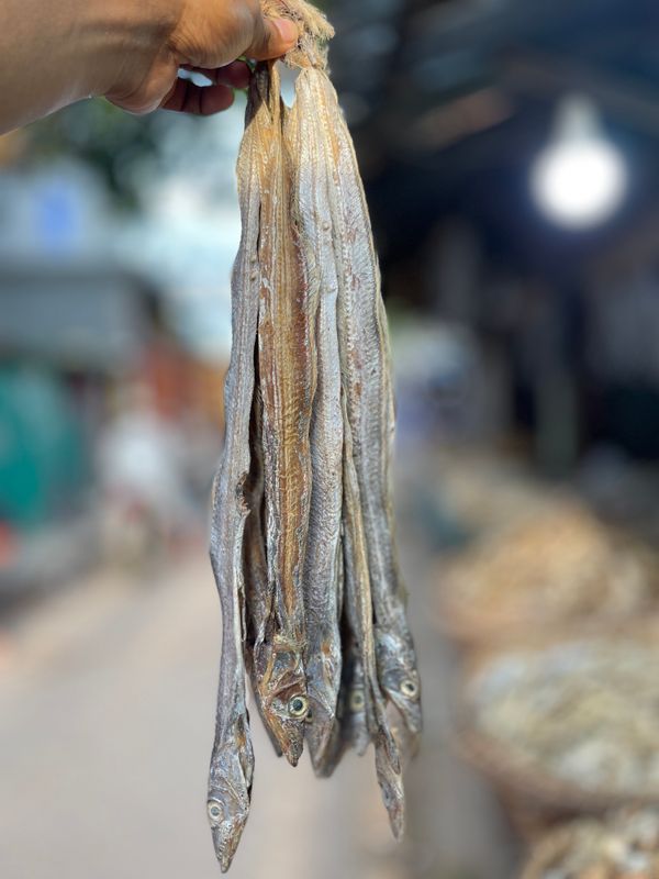 ছুরি শুঁটকি বড় সাইজ B (Churi Shutki)