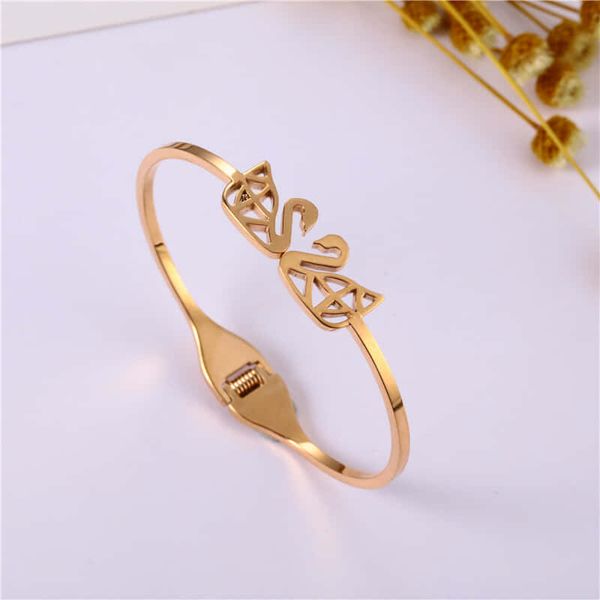 Stylish titanium Bracelet
