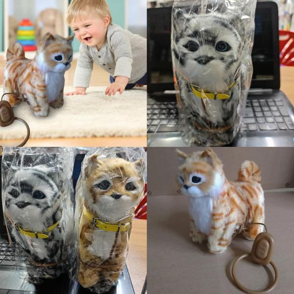 Premium China cat toy