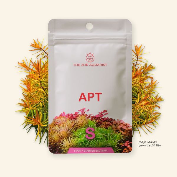 APT S 45gm
