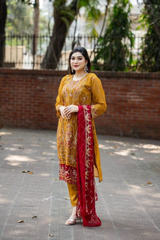 Semi –Embroidery & Sequence Work Party dress