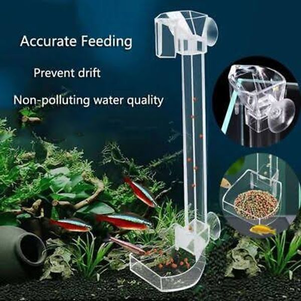Fish feeding Tube
