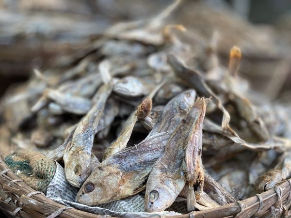 পোয়া শুঁটকি নন কাট (Poa Shutki)