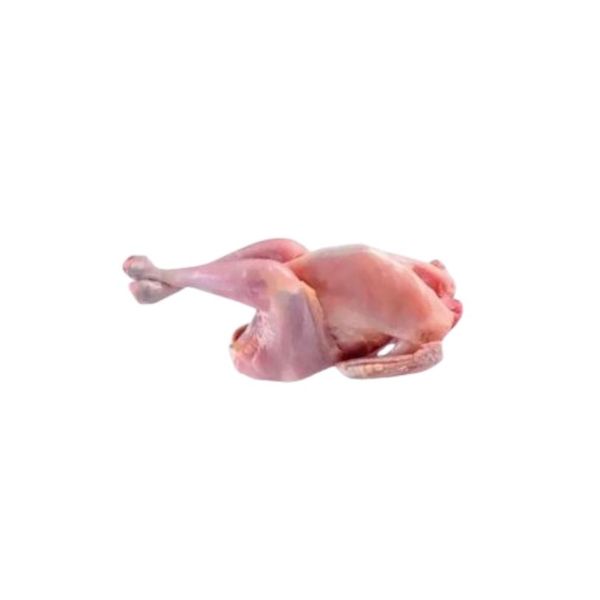 Sonali Chicken(±30) 500gm সোনালী মুরগী