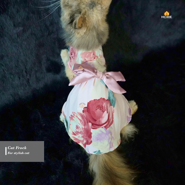 2.5 kg cat frock