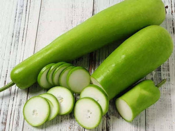 হাইব্রিড লাউ বীজ "সিল সিলা" / Hybrid Gourd Seed "Sil Sila"