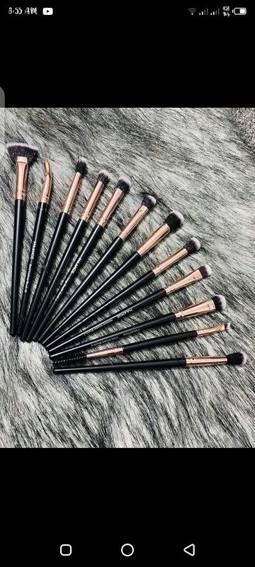 mangee 12 piece brush set