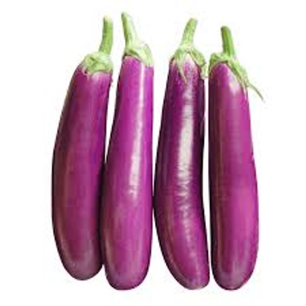 Begun Lomba (Brinjal)