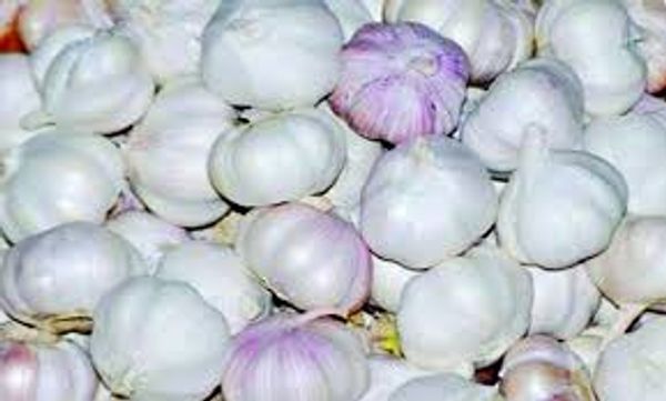 Rosun China (Garlic China)
