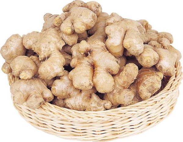 Ada China (China Ginger)