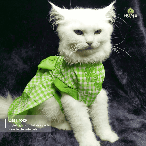 2 kg cat frock
