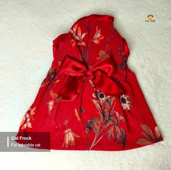 2 kg cat frock