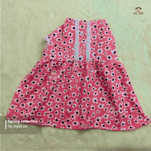 4 kg cat frock