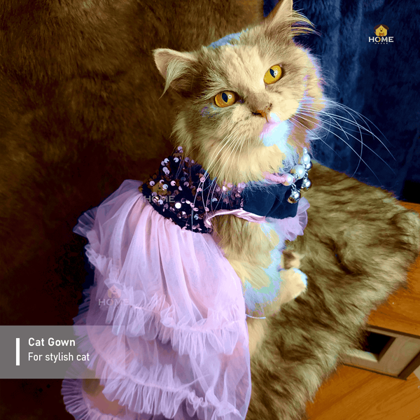 Cat gown