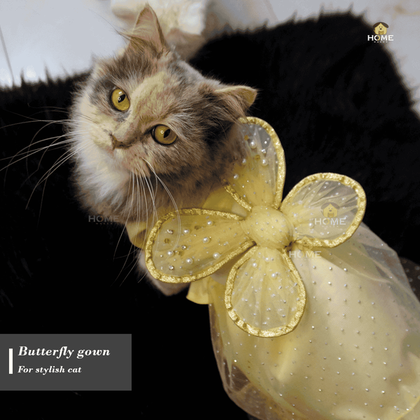 Cat butterfly gown