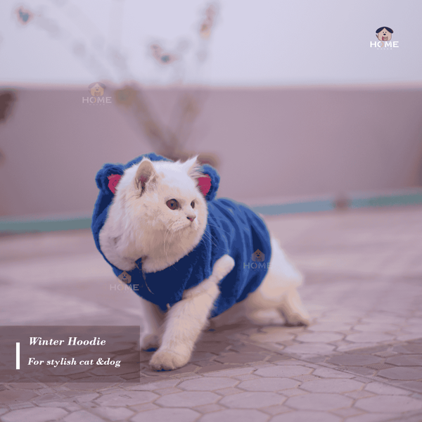 panda hoodie (3 kg)