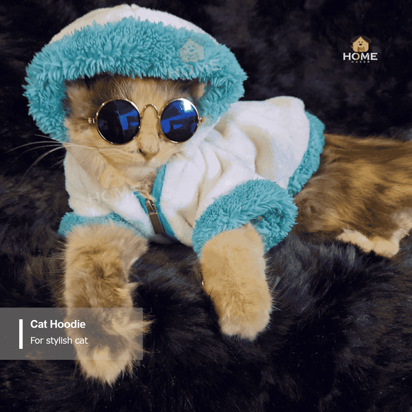 cat hoodie (8 kg)