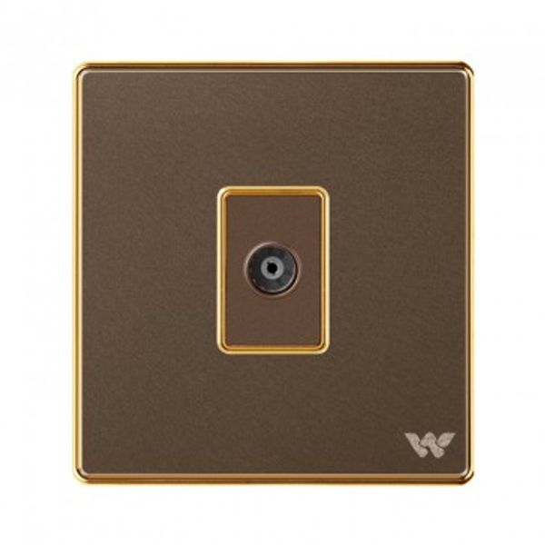 PREMIO TV SOCKET