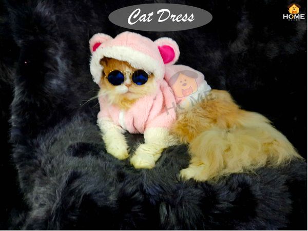 panda Hoodie custome