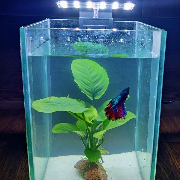 X3 Aquarium led light