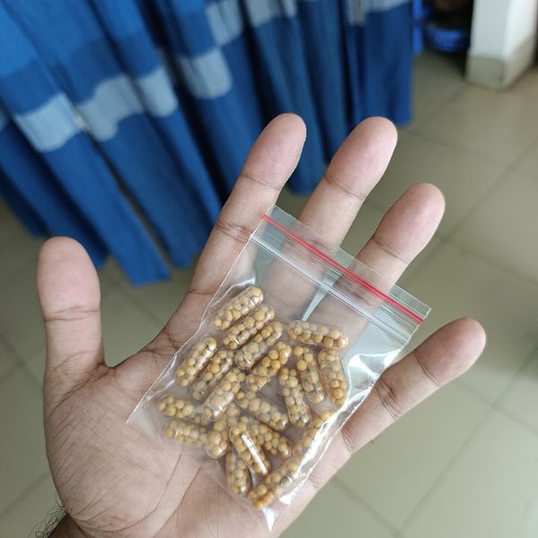 osmocote capsule (10 piece pack)