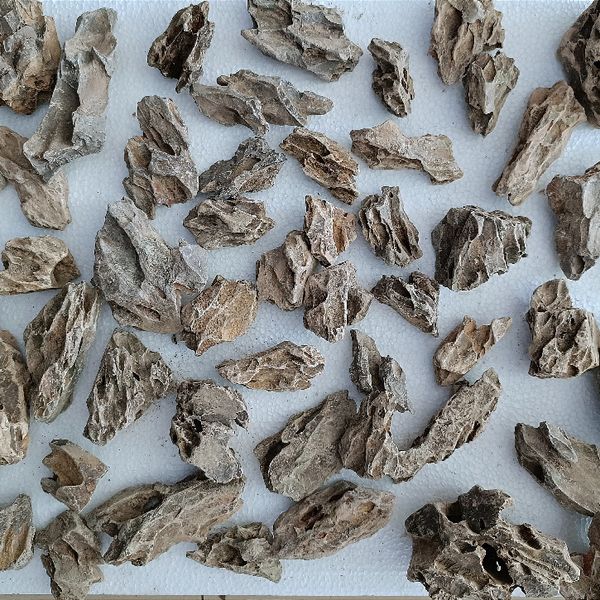 dragon stone ( 1 kg)