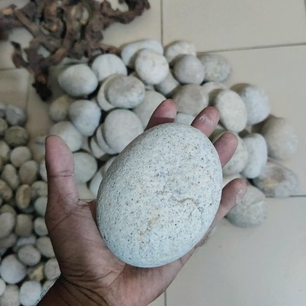 River stone large size ( per piece)