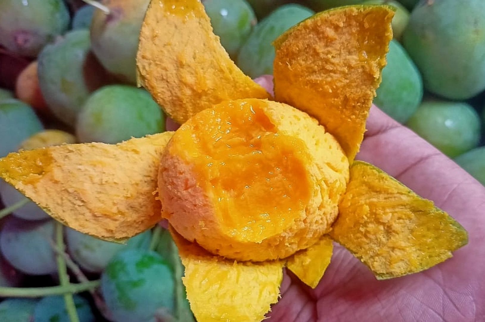 হিমসাগর আম
